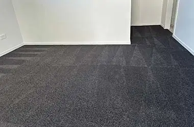 Carpet Cleaning