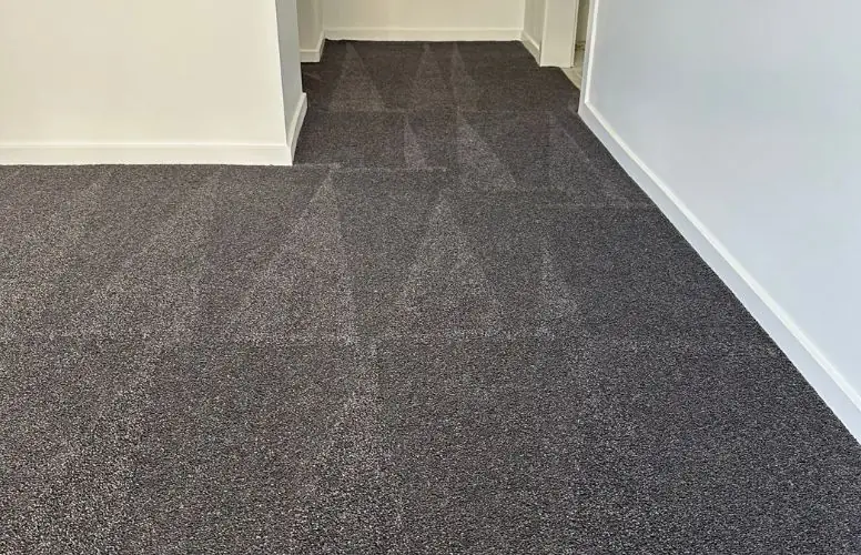 Carpet Cleaning Brisbane
