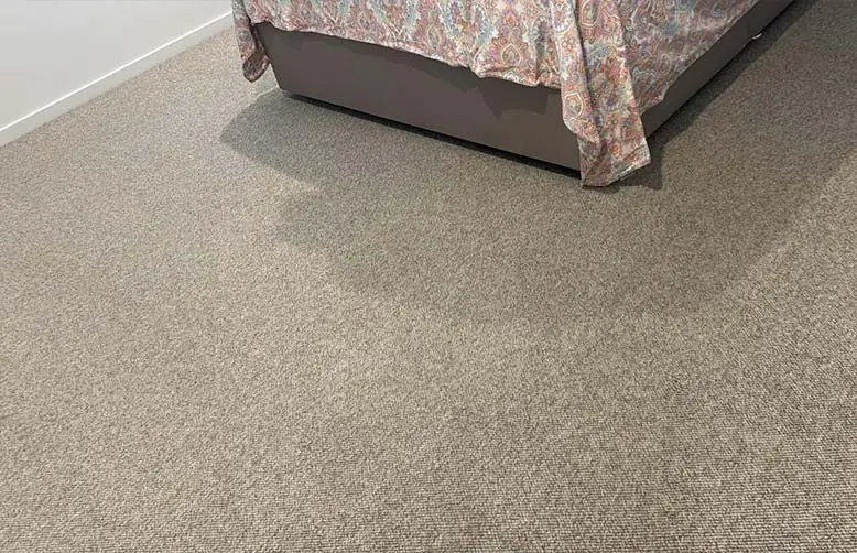 Carpet Cleaning Sydney