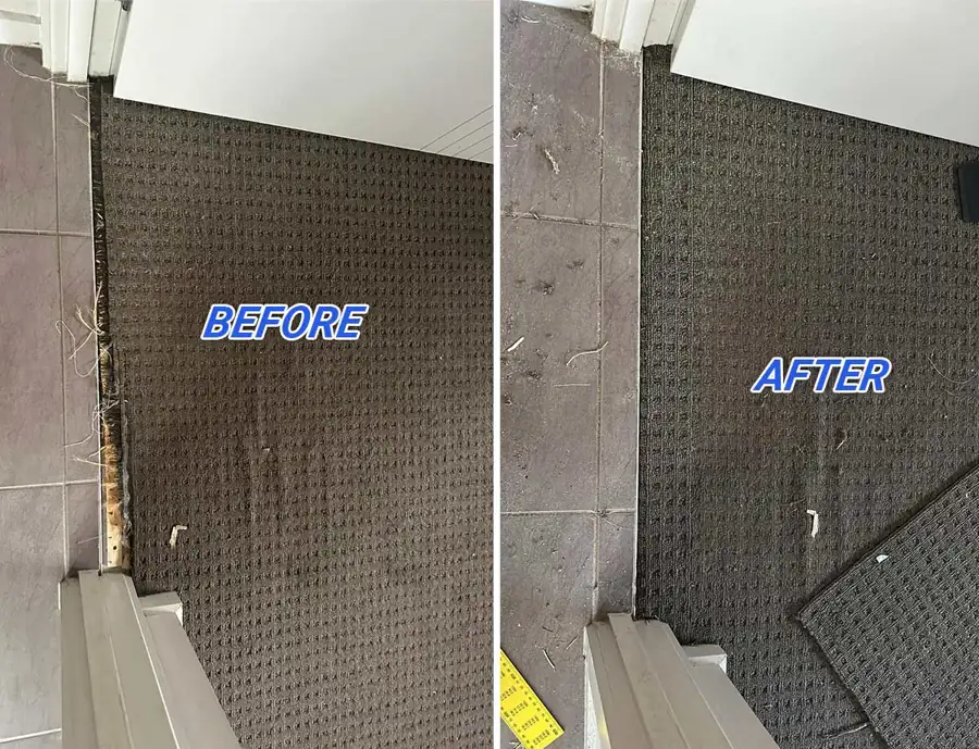 Common Carpet Problems in Adelaide Homes