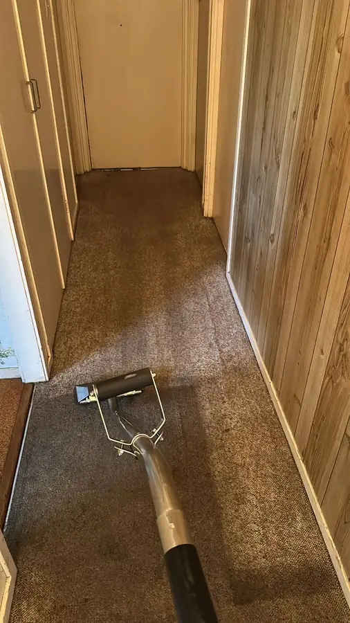 Water being extracted from carpet with a wand (Sonic job)