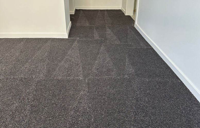 Carpet Cleaning Brisbane – Professional Carpet Cleaners Banner