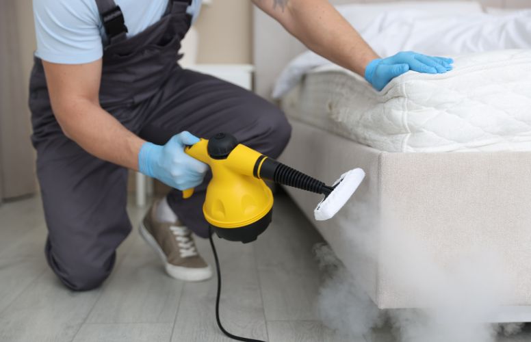 Professional Mattress Cleaning Perth | Remove Stains, Dust Mites & Odours Banner