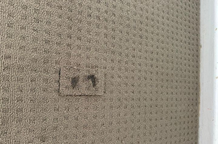 How to Fix Carpet Wrinkles and Ripples Banner