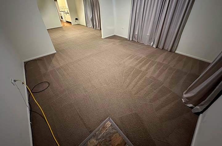 How Often Should You Have Your Carpets Professionally Cleaned? Banner