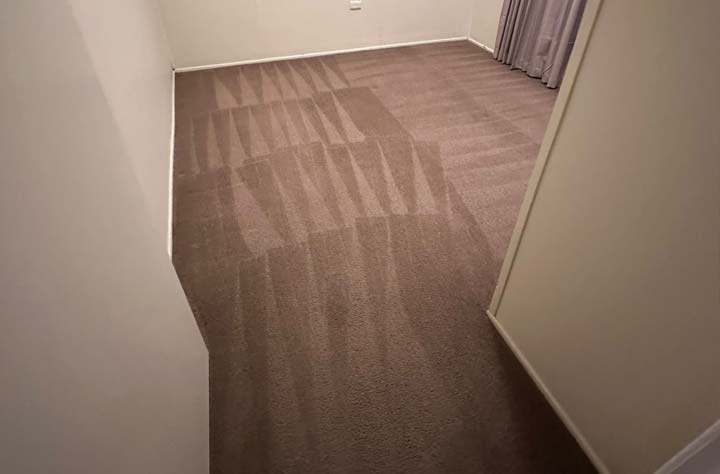 How Professional Carpet Cleaning Works: A Step by Step Guide Banner