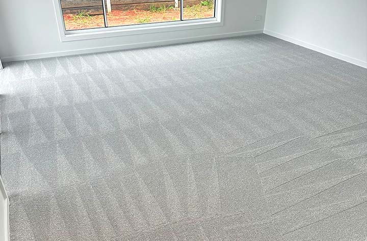 Signs Your Carpet Needs Professional Cleaning Banner