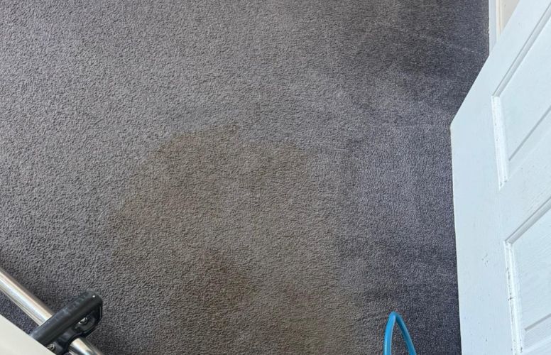 Professional Carpet Cleaning Perth | Eco-Friendly & Fast Drying thumbnail