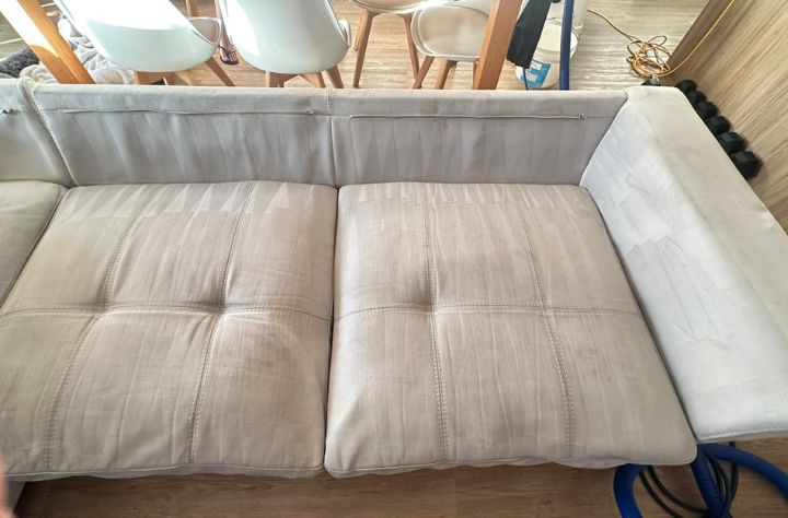 Can Couch Cleaning Remove Pet Odors? thumbnail
