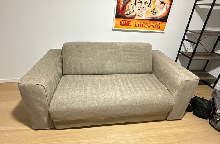 Does Professional Upholstery Cleaning Remove Dust Mites? thumbnail