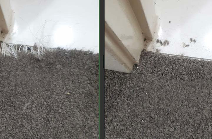 Can Carpet Stretching Fix Wrinkles? thumbnail