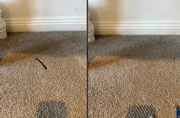 Common Carpet Problems That Can Be Repaired thumbnail